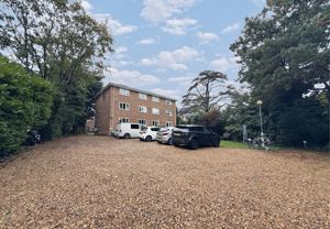 Front- click for photo gallery